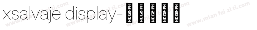xsalvaje display字体转换